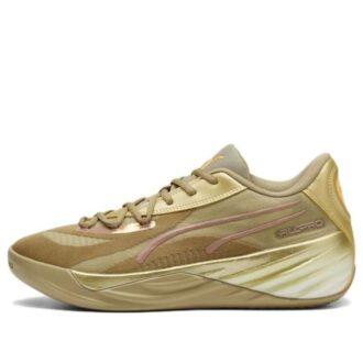 All-Pro Nitro CNY “Oro”