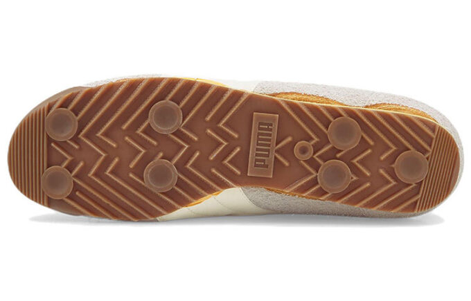 Arizona “Gris Blanco”