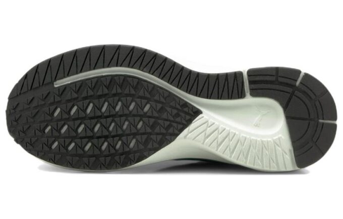 Aviator WTR Zapatillas bajas verdes
