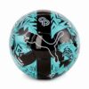 Balón de fútbol PUMA x CHRISTIAN PULISIC