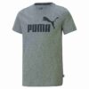 Camiseta con logotipo Essentials para niños grandes