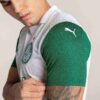 Camiseta de fútbol de visitante para hombre del SE Palmeiras Torcedor ’25 Camiseta de fútbol de visitante para hombre del SE Palmeiras Torcedor ’25