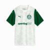 Camiseta de fútbol de visitante para hombre del SE Palmeiras Torcedor ’25 Camiseta de fútbol de visitante para hombre del SE Palmeiras Torcedor ’25