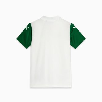 Camiseta de fútbol de visitante para niños grandes del SE Palmeiras Torcedor ’25