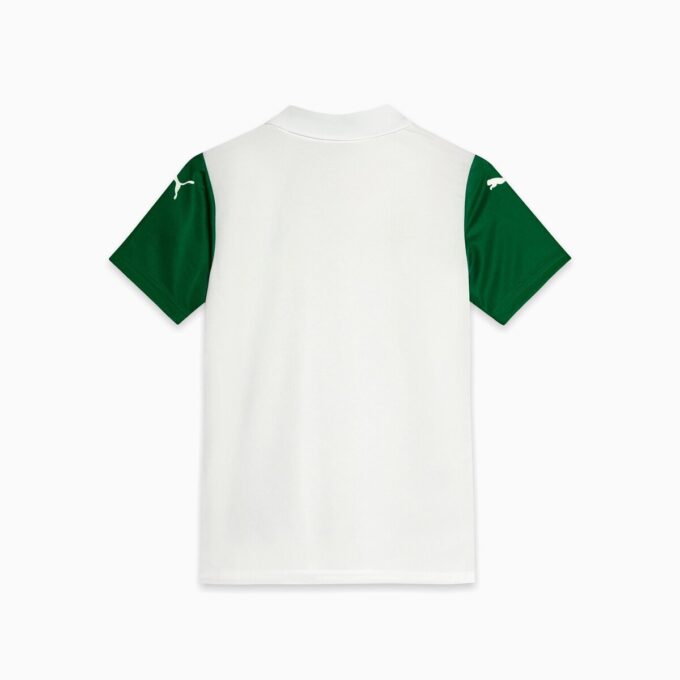 Camiseta de fútbol de visitante para niños grandes del SE Palmeiras Torcedor ’25 Camiseta de fútbol de visitante para niños grandes del SE Palmeiras Torcedor ’25