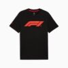 Camiseta esencial para hombre de Fórmula 1® Motorsport Camiseta esencial para hombre de Fórmula 1® Motorsport