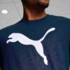 Camiseta Essentials Big Cat para hombre