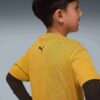 Camiseta infantil Moody Cat Camiseta infantil Moody Cat
