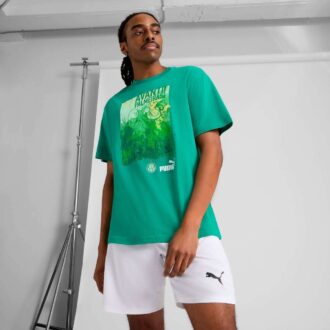 Camiseta SE Palmeiras para hombre