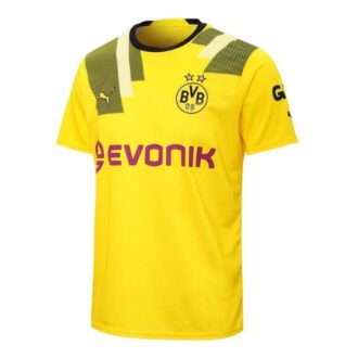 Camiseta tercera copa Borussia Dortmund Axel Witsel 28 “Amarillo”
