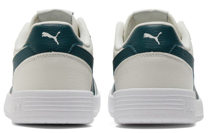Caracal “Gris vaporoso verde universitario”