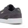 Caracal Suede “Granola de carbón oscuro”