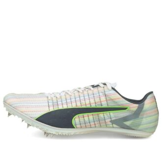 Cepillo Evo Speed  Tokyo Sp