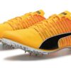 Cepillo evoSpeed  6 “Sun Stream Black”