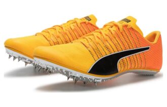 Cepillo evoSpeed  6 “Sun Stream Black”