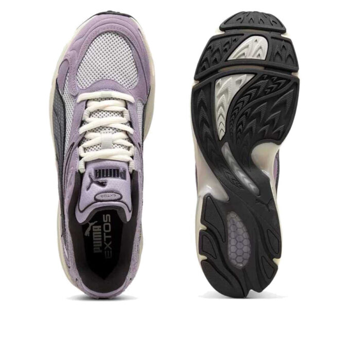 Coleccionista de Extos “Glacial Grey Pale Plum”