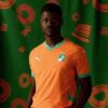Costa de Marfil 2025 Primera Equipación Camiseta Fútbol Masculino Costa de Marfil 2025 Primera Equipación Camiseta Fútbol Masculino