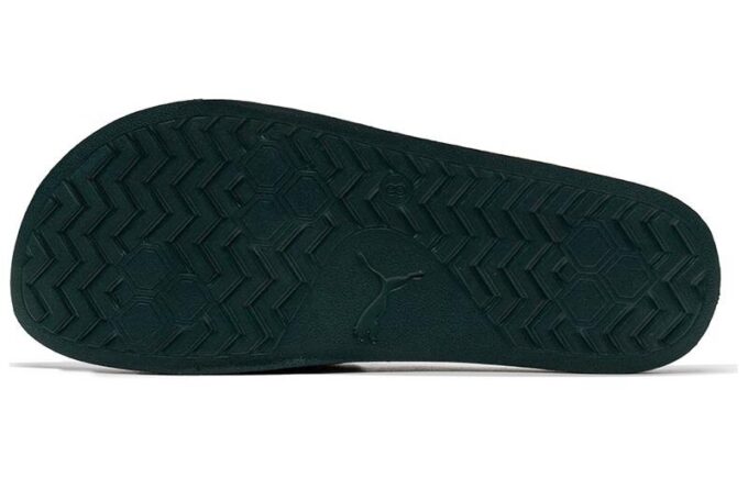 Diapositivas Leadcat “Oro Verde”