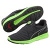 Disco Ignite “Gecko Verde Negro”