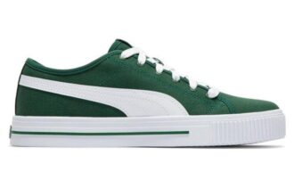 Ever Fs Cv “Verde”