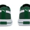 Ever Fs Cv “Verde”