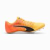 evoSPEED BRUSH 6 Zapatillas de atletismo con clavos para carreras de velocidad evoSPEED BRUSH 6 Zapatillas de atletismo con clavos para carreras de velocidad
