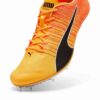 evoSPEED BRUSH 6 Zapatillas de atletismo con clavos para carreras de velocidad evoSPEED BRUSH 6 Zapatillas de atletismo con clavos para carreras de velocidad