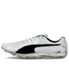 evoSPEED Electric 10 “Gris”