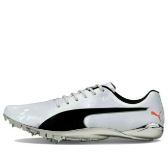 evoSPEED Electric 10 “Gris”