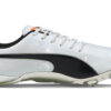 evoSPEED Electric 10 “Gris”