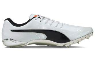 evoSPEED Electric 10 “Gris”