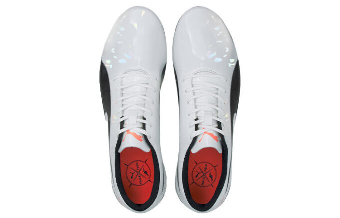 evoSPEED Electric 10 “Gris”