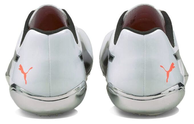evoSPEED Electric 10 “Gris”