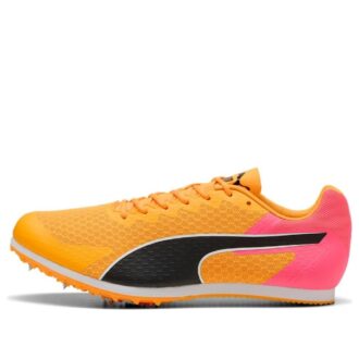 evoSPEED Star 9 “Transmisión solar”