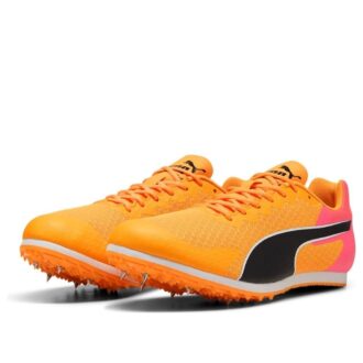 evoSPEED Star 9 “Transmisión solar”