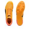 evoSPEED Star 9 “Transmisión solar”