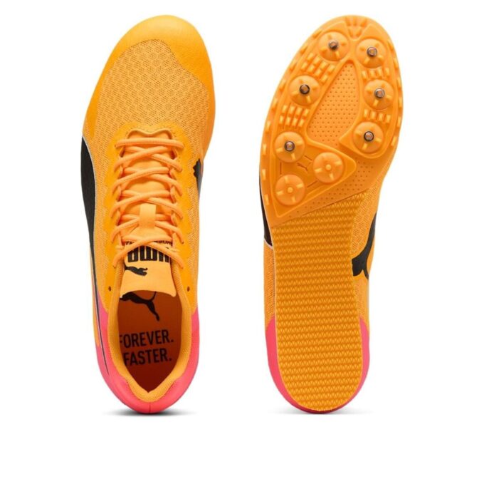 evoSPEED Star 9 “Transmisión solar”