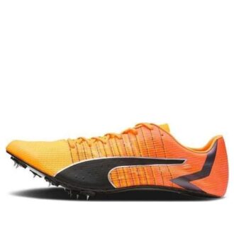 evoSpeed  Tokyo Future Faster “Sun Stream Sunset Glow”