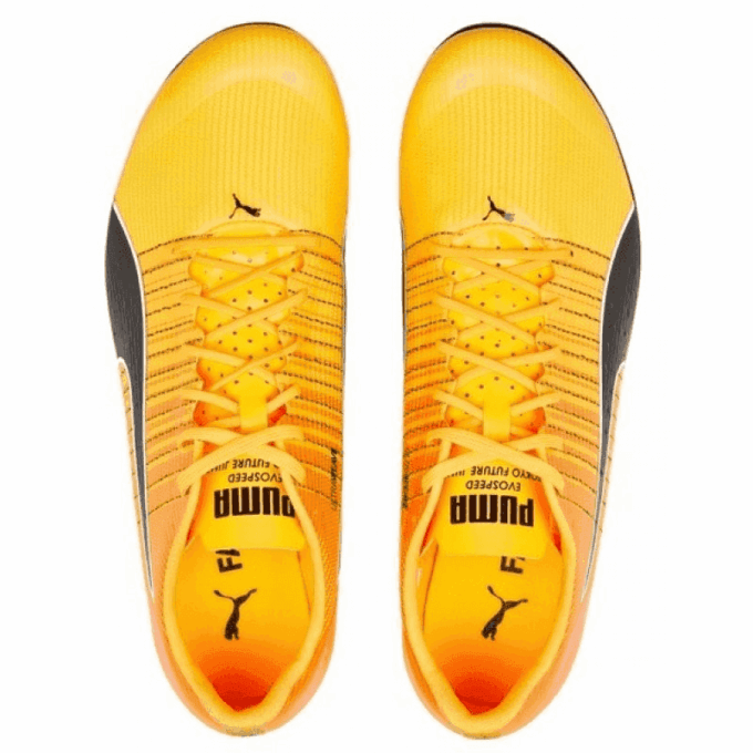evoSpeed  Tokyo Future Faster “Sun Stream Sunset Glow”