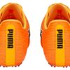 evoSPEED Tokyo Nitro “Sun Stream”