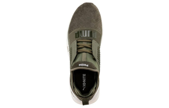 Ignite Limitless Reptile “Verde retro versátil”