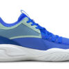 Jinete de la corte “Bluemazing”