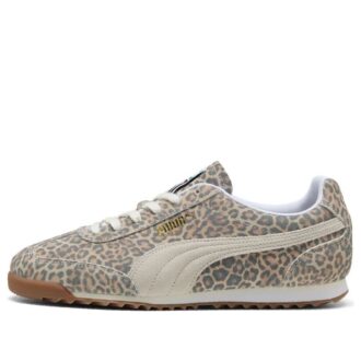 “Leopardo” de Arizona