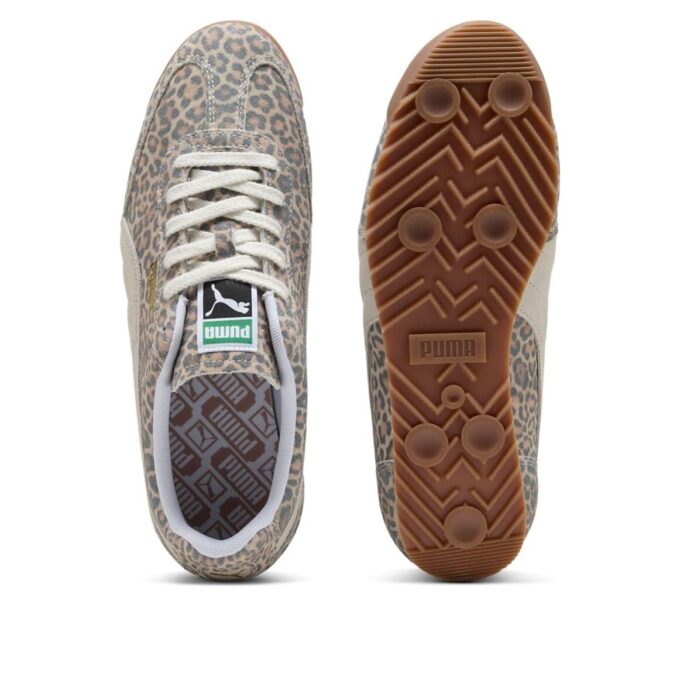 “Leopardo” de Arizona