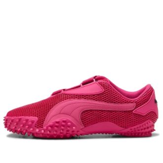 Muestra “Puma rosa y negro”