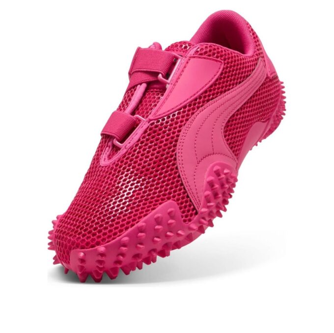 Muestra “Puma rosa y negro”