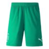 Pantalón corto de fútbol Neymar Jr. “Verde”