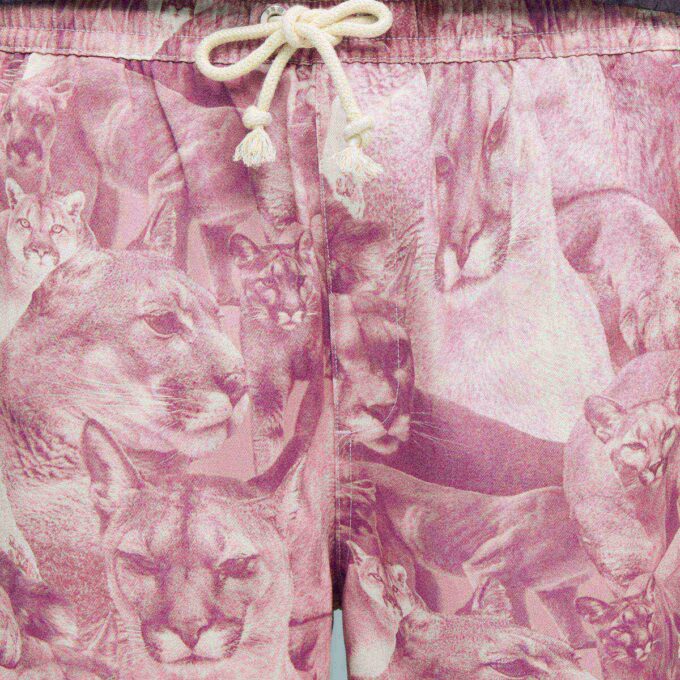 Pantalones con estampado animal Cat Crazy Men