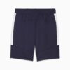 Pantalones cortos de fútbol masculino del C.F. Monterrey Pantalones cortos de fútbol masculino del C.F. Monterrey