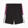 Pantalones cortos de fútbol para niños grandes Premier League Brilliance Pantalones cortos de fútbol para niños grandes Premier League Brilliance